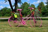 &quot;Rožinis dviratukas&quot; Eugenija Šeinauskienė